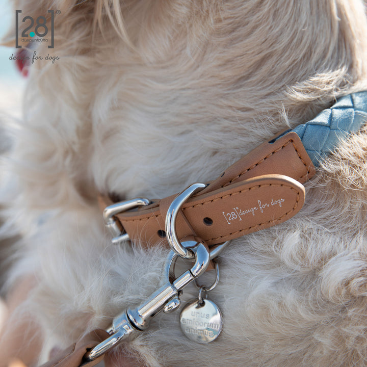 Ferdinando Microfiber Dog Collar