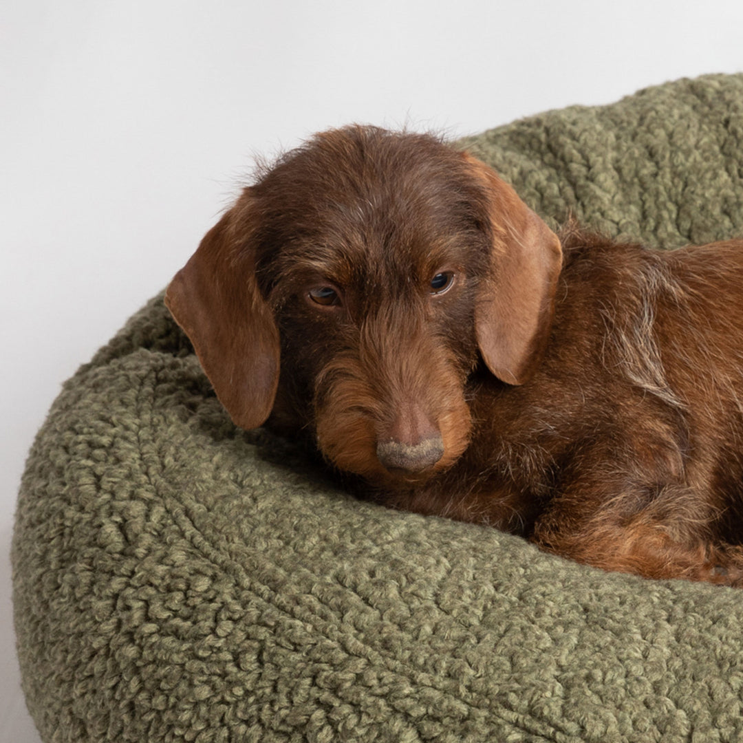 Fulvio Boucle Wool Round Dog Bed
