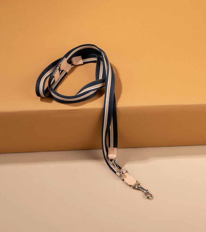 Franco ribbon and leather adjustable dog leash