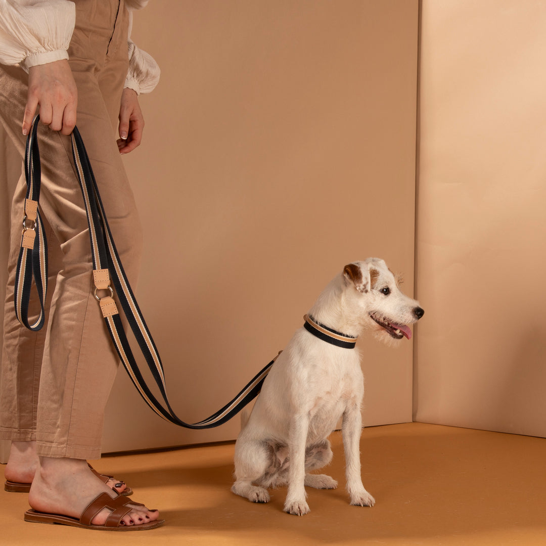 Franco ribbon and leather adjustable dog leash