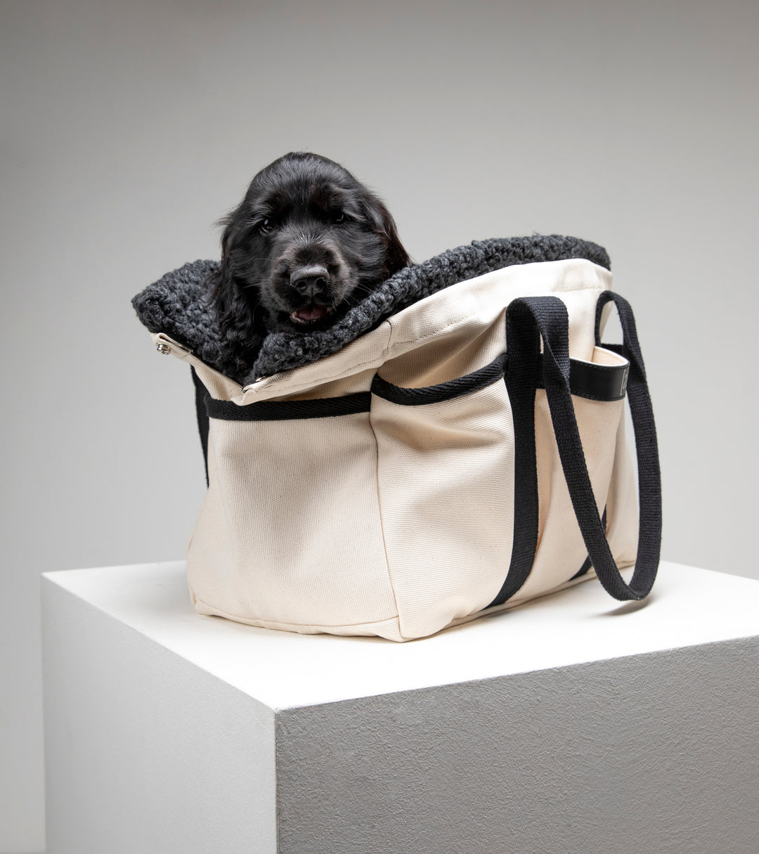 Diane - Cotton tote dog bag