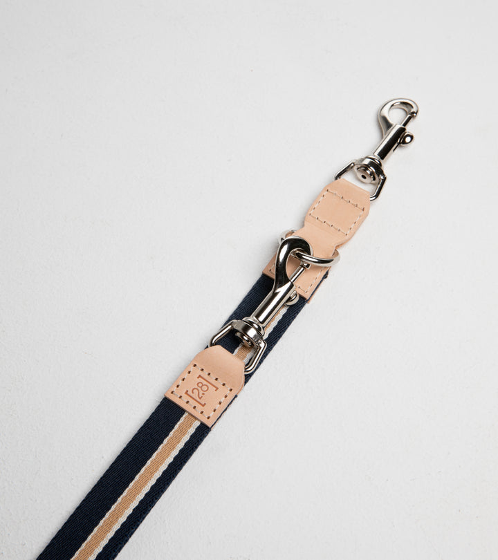 Franco ribbon and leather adjustable dog leash