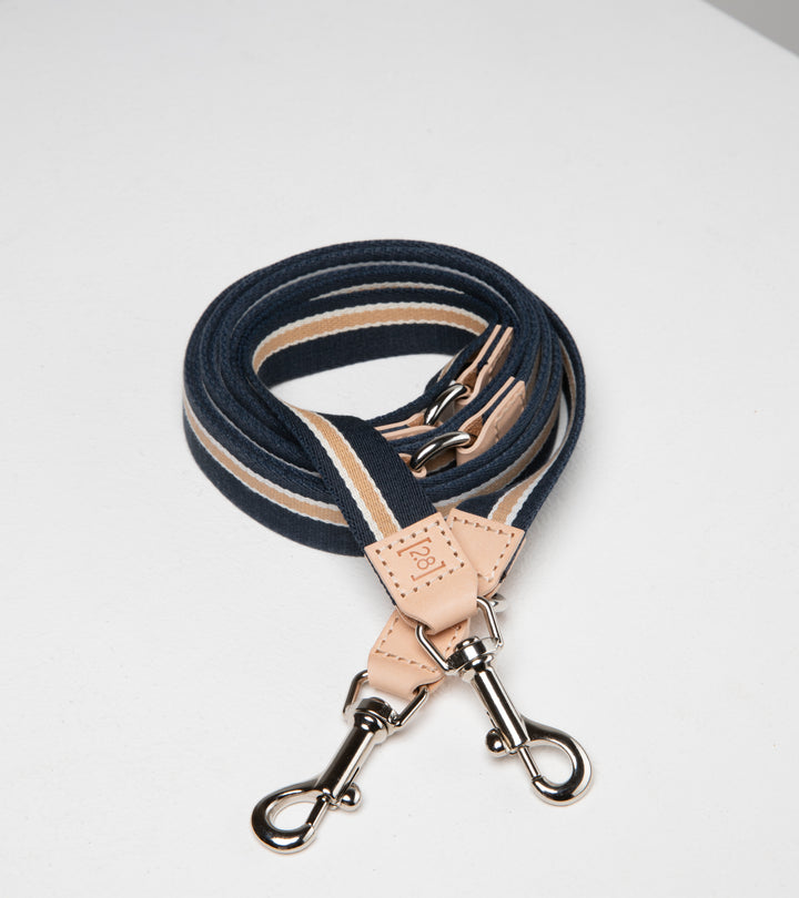 Franco ribbon and leather adjustable dog leash