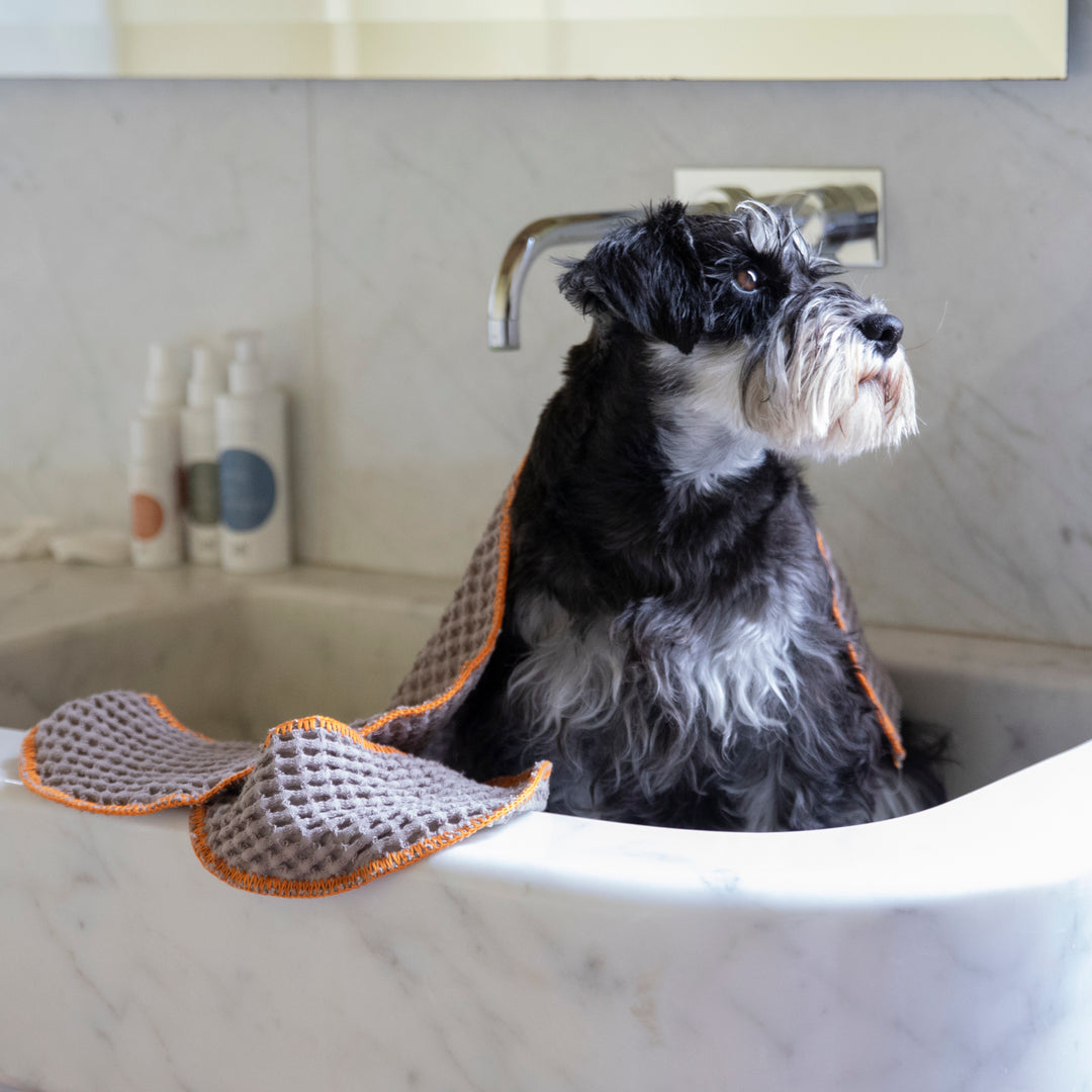 Lisetta Kit- Natural Dog Care Routine