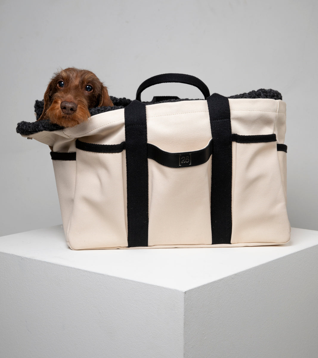 Tote Bag Sac Courses écologique en Tissu ré-utilisable 100% Coton Chien Tote Bag Sac Tissu Chat Maine Coon Tote Bag Sac Courses écologique en Tissu ré-utilisable 100% Coton Chien Tote Bag Sac Tissu Chat Maine Coon