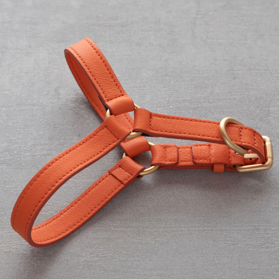 Mario Nappa Leather Dog Harness