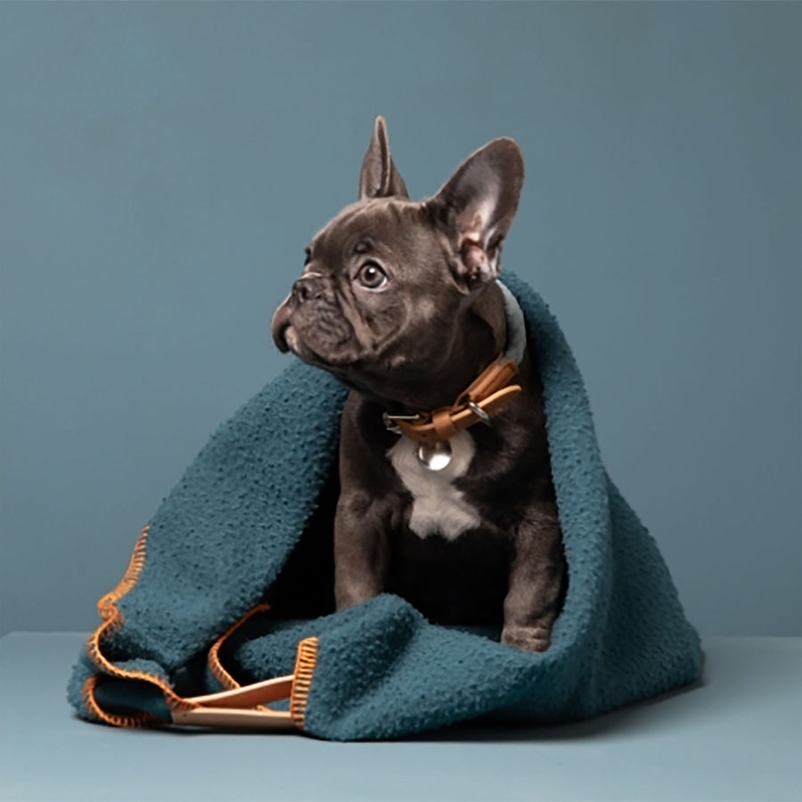 Ansel Casentino Wool Dog Blanket Blue