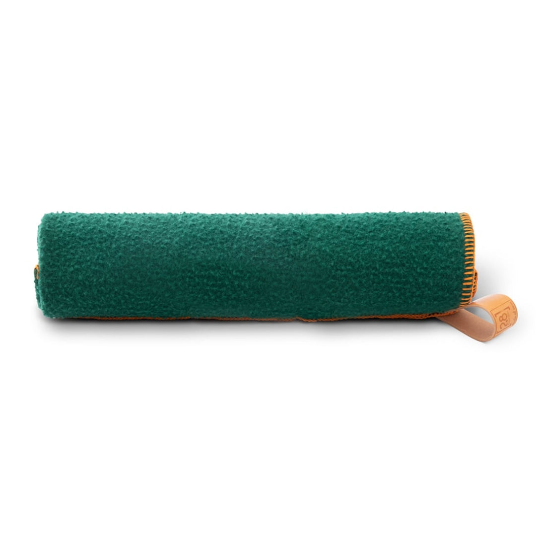 Ansel Casentino Wool Dog Blanket Green
