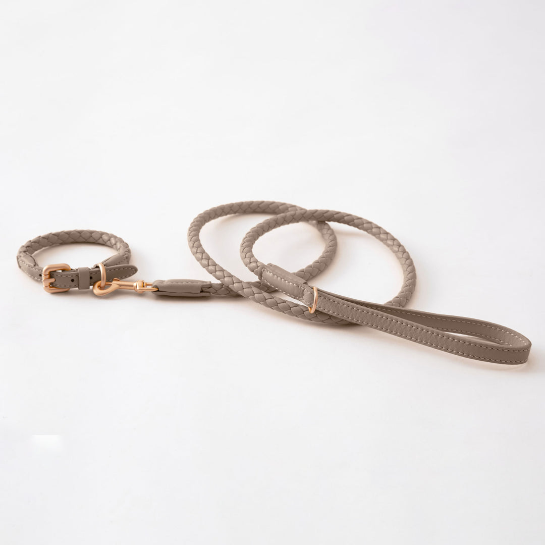 Ferdinando Designer Braided Leather Dog Leash