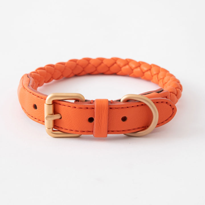 Ferdinando Designer Braided Leather Dog Collar