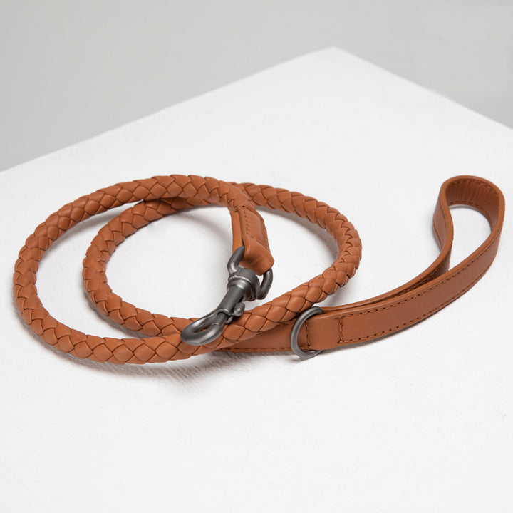 Ferdinando Designer Braided Leather Dog Leash