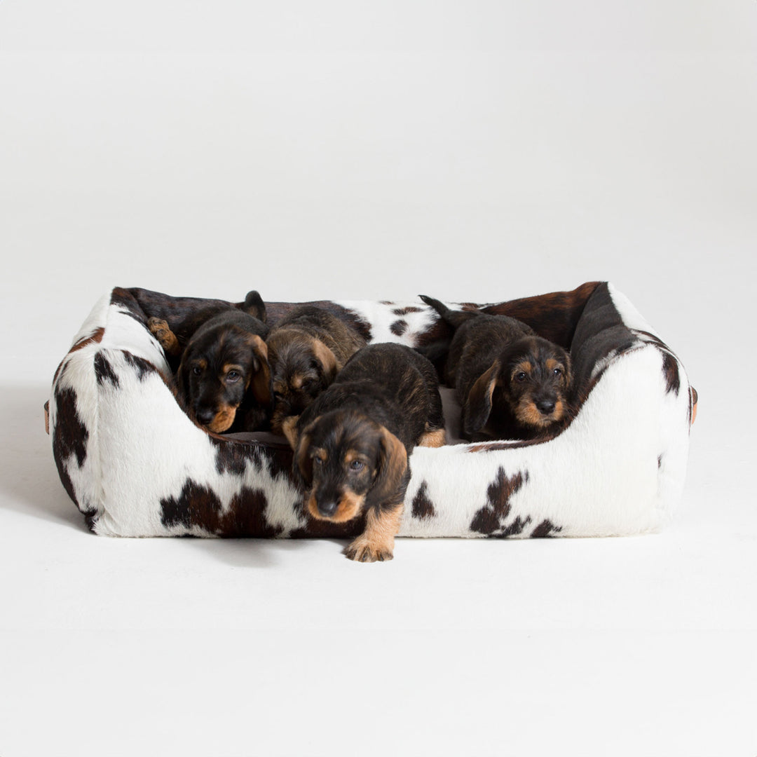 Henri Cowhide Dog Bed