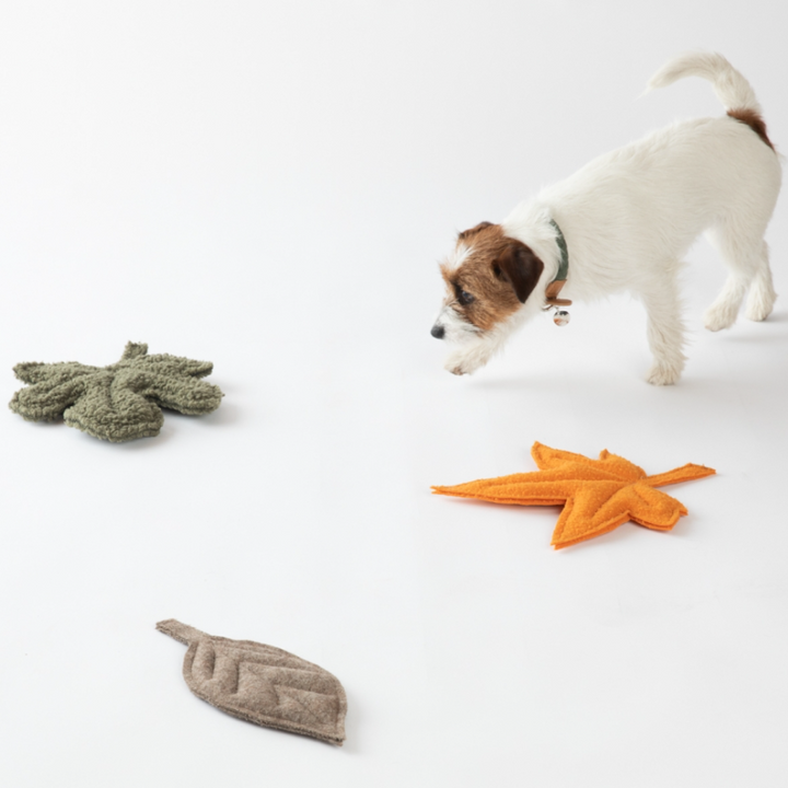 Mimmo Eco-Friendly Dog Toy