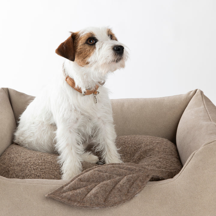 Henri Eco-Friendly Organic Cotton Pebble Dog Bed